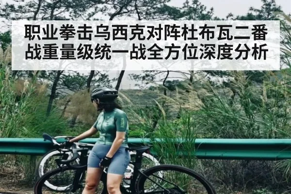 职业拳击乌西克对阵杜布瓦二番战重量级统一战全方位深度分析 | kaiyun