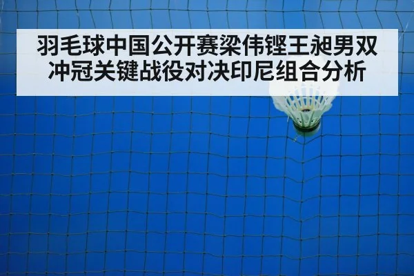 badminton net shot closeup